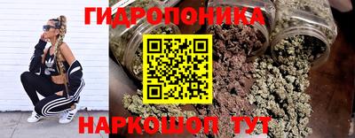 твердый Новодвинск