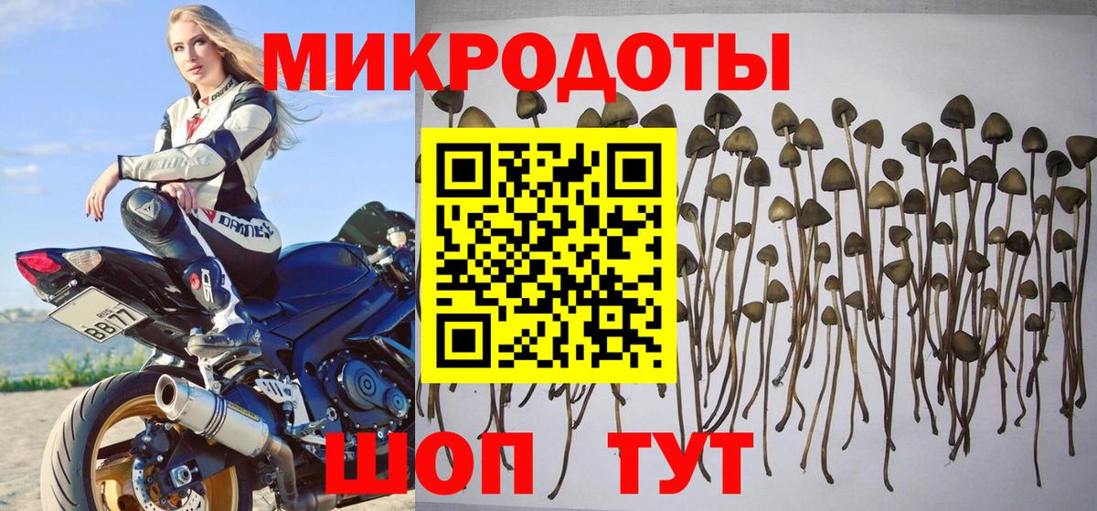Галлюциногенные грибы мухоморы Северобайкальск