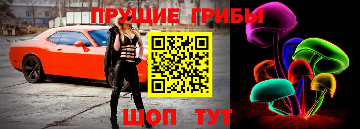 Псилоцибиновые грибы Magic Shrooms  Вход с VPN  Псилоцибиновые грибы GOLDEN TEACHER  Северобайкальск 